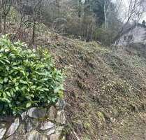 Grundstück zu verkaufen in Schönecken 19.500,00 € 801 m²