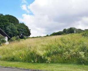 Grundstück zu verkaufen in Balesfeld 25.000,00 € 521 m²