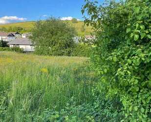 Grundstück zu verkaufen in Burbach 50.000,00 € 1100 m²