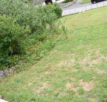 Grundstück zu verkaufen in Schönecken 18.000,00 € 421 m²