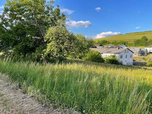 Foto - Grundstück zu verkaufen in Burbach 22.000,00 € 489 m²