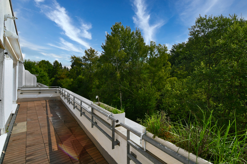 Herrliche Terrasse - Top 4 Zi Terrassenwhg. für Natur- u.Tierliebhaber