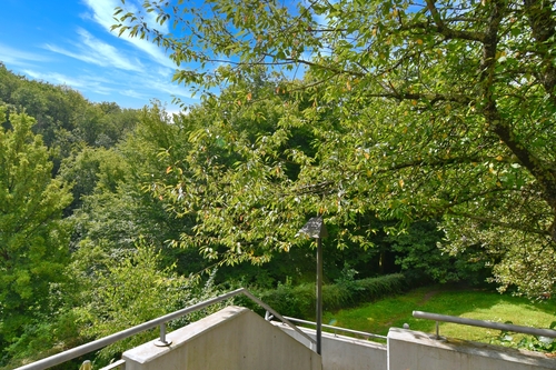 perfekt für Haustiere - 4 Zimmer Terrassenwohnung in Eppstein