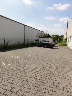 DSC02631 - 
