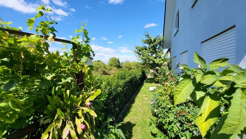 Garten - 6 Zimmer Doppelhaushälfte in Mühlheim