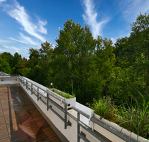 Top 4 Zi Terrassenwhg. für Natur- u.Tierliebhaber - Eppstein