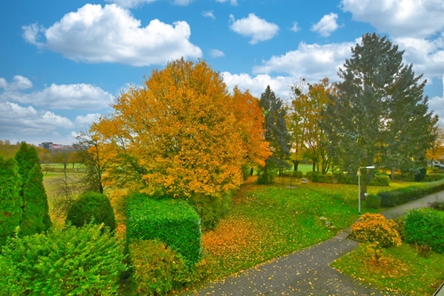 Blick in den Vorgarten - 