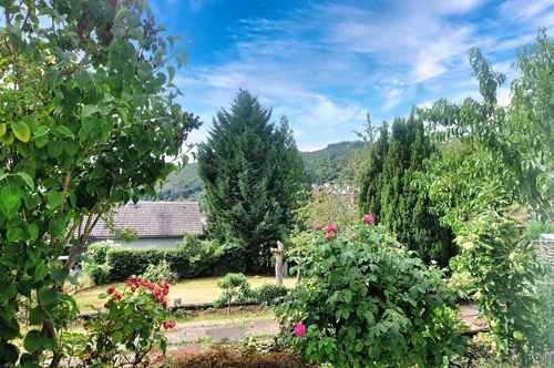 Blick in den Garten - 