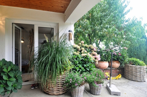 Terrasse - 