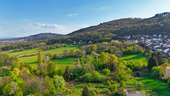 Blicklage - 
