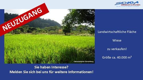 Foto - Großzügige Landwirtschaftsfläche Wiese in Königsmoos, evtl. Ausgleichsfläche oder PV - Ein Objekt von SOWA Immobilien & Finanzen Ihrem Immobilienprofi vor Ort