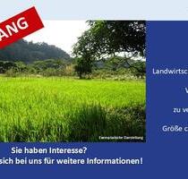 Großzügige Landwirtschaftsfläche Wiese in Königsmoos, evtl. Ausgleichsfläche oder PV - Ein Objekt von SOWA Immobilien & Finanzen Ihrem Immobilienprofi vor Ort