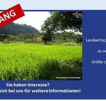 Großzügige Landwirtschaftsfläche in Zell - Neuburg - Ein Objekt von SOWA Immobilien & Finanzen Ihrem Immobilienprofi vor Ort