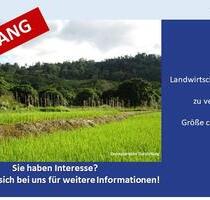 Großzügige Landwirtschaftsfläche in Untermaxfeld - Ein Objekt von SOWA Immobilien & Finanzen Ihrem Immobilienprofi vor Ort - Königsmoos