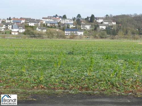 Blick zu den Nachbar - 