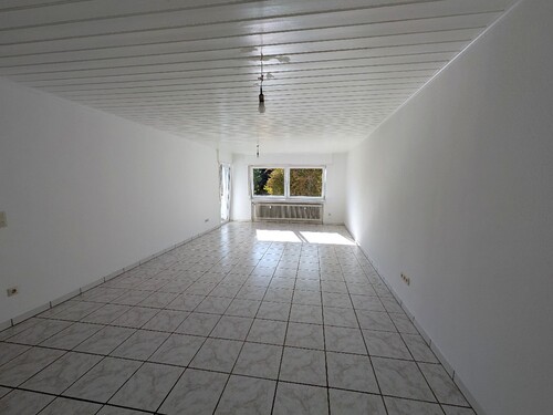 Wohn-Esszimmer - 