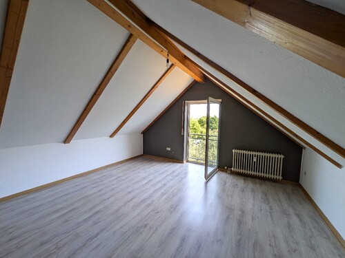 Dachspitz - 