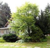 Traumlage für Ihr Business und viel Platz zum Wohnen und Entspannen - Waghäusel Kirrlach