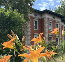 Wohnen und Arbeiten in historischer Denkmal Villa in Radebeul