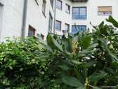 Hausansicht - 3 Zimmer Etagenwohnung zum Kaufen in Weinböhla
