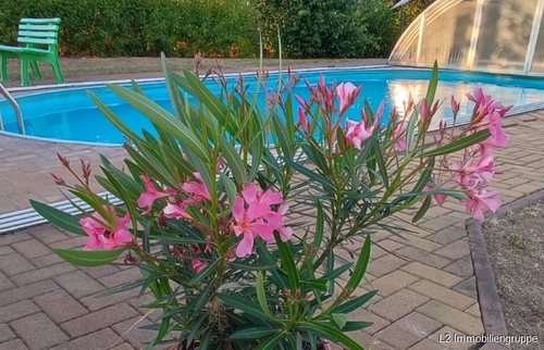 5847_Bild_001 - Romantischer Zwei-Seitenhof mit Pool, Scheune und großem Grundstück in traumhafter Idylle