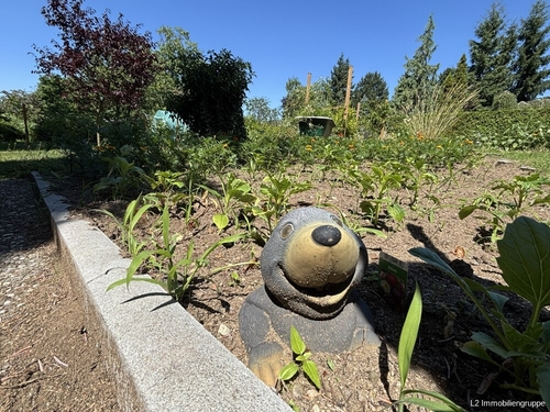 Maulwurf im Garten - 