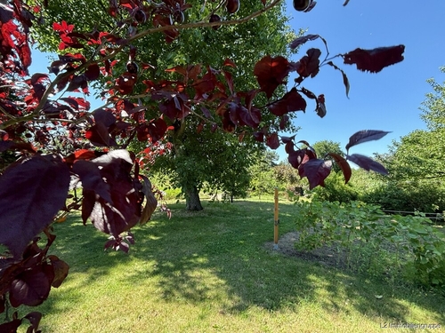 Garten - 
