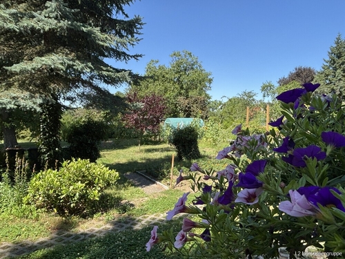Blick in den Garten - 