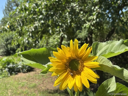 Garten - 