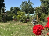 Blick in den Garten - 