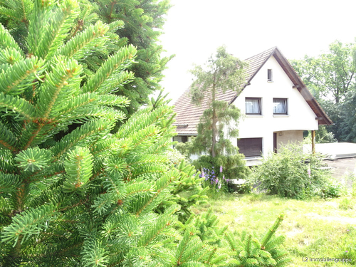 Ansicht - 5 Zimmer Einfamilienhaus zum Kaufen in Steinigtwolmsdorf / Ringenhain