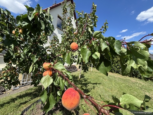 Garten - Naturerlebnis vor den Toren der Stadt - Ihr neues Familienzuhause in Klipphausen-Bockwen