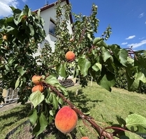 Naturerlebnis vor den Toren der Stadt - Ihr neues Familienzuhause in Klipphausen-Bockwen