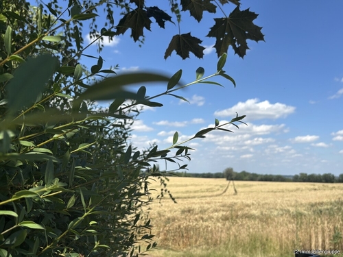 Ausblick - 