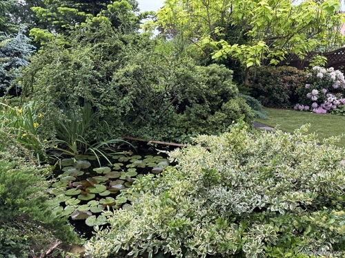 Grundstück mit Teich - 