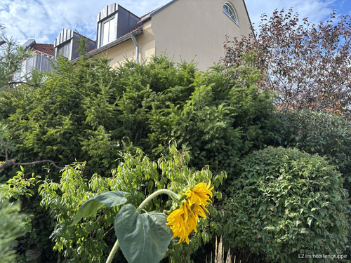 Umgebung - 