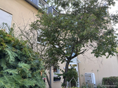 Hauseingang - Etagenwohnung mit 69,00 m² in Coswig zum Kaufen