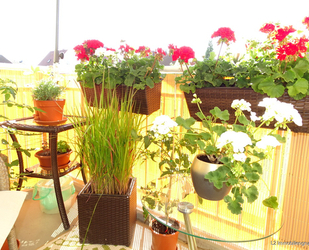 Gemütliche 3-Zimmer-Eigentumswohnung für Ihre Familie oder als Kapitalanlage - Coswig