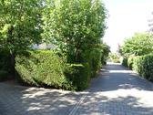Umgebung - 