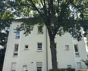Gemütliche 1-Zimmerwohnung in zentraler zentrumsnaher Lage in Coswig