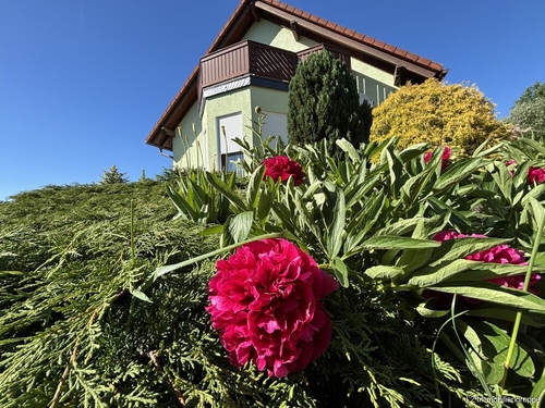 Hausansicht - 