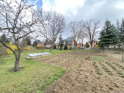 Gartenbereich - 