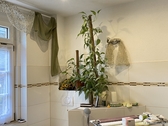 Badezimmer EG - 