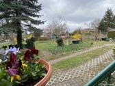 Gartenbereich - 