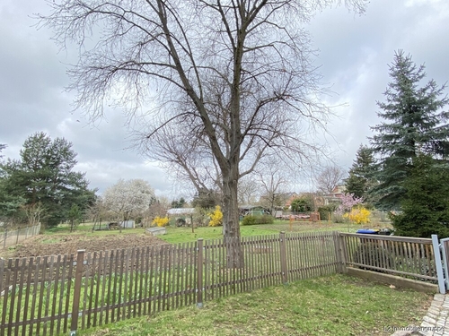 Gartenbereich - 