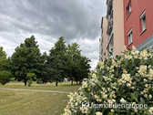 Ansicht - 4 Zimmer Etagenwohnung zum Kaufen in Coswig
