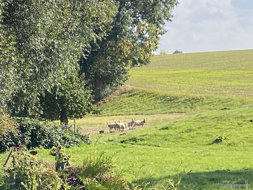Grundstück mit Weitblick - 