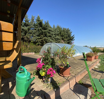 Ihr neues Zuhause im Grünen, romantischer 2-Seitenhof mit Scheune, großem Grundstück und Pool - Lommatzsch