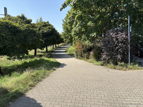 Außenanlagen - 