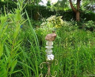 Wert entsteht durch Wandelbarkeit. - Bischofswerda